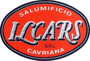 Logo Ilcars